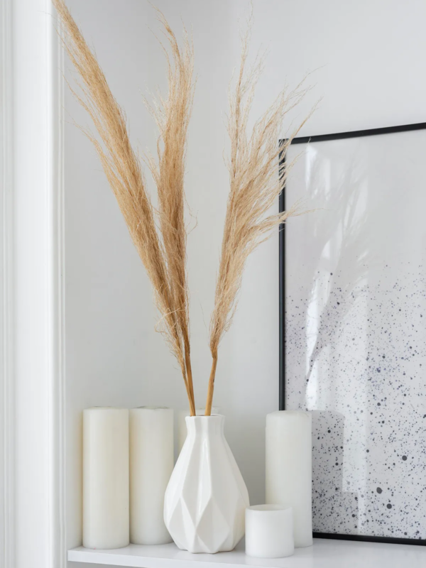 Transforming Challenges into Opportunities with Coaching