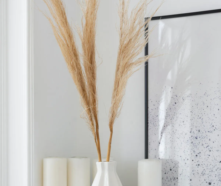 Transforming Challenges into Opportunities with Coaching